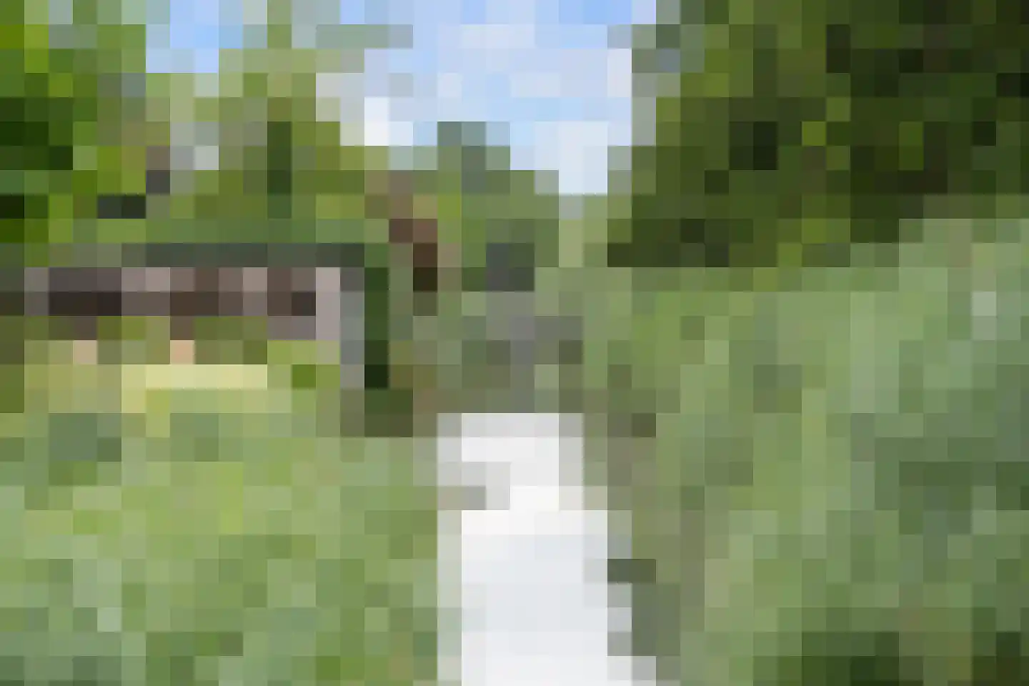 Bourbonhof 25 Dordrecht thumbnail 65