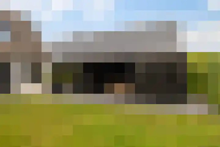 Bourboomweg 16 Burdaard thumbnail 5