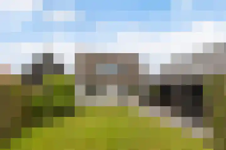 Bourboomweg 16 Burdaard thumbnail 8