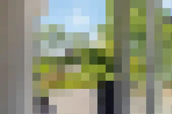 Bourboomweg 4 Burdaard thumbnail 15