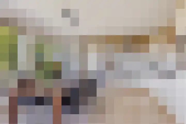 Bourboomweg 4 Burdaard thumbnail 18
