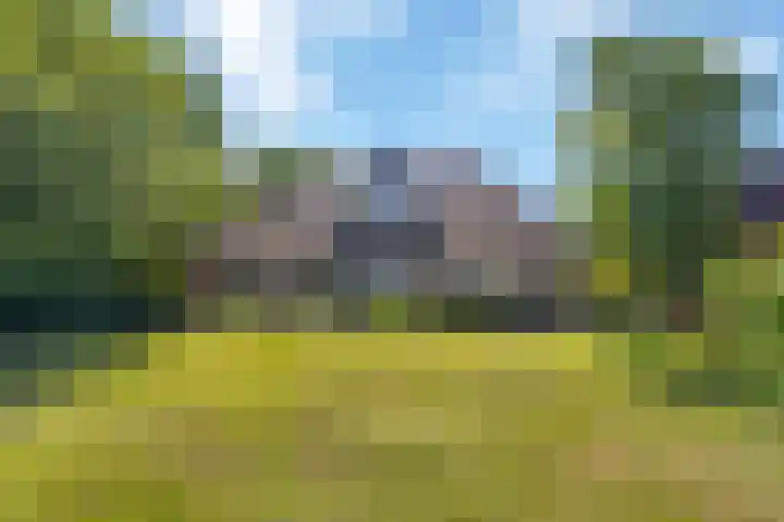 Bourboomweg 4 Burdaard thumbnail 25