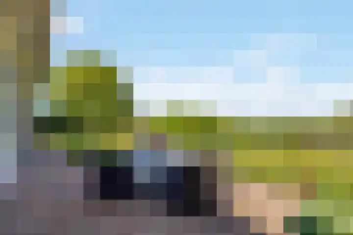 Bourboomweg 4 Burdaard thumbnail 27