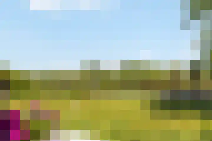 Bourboomweg 4 Burdaard thumbnail 29
