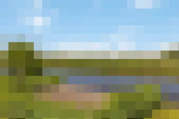 Bourboomweg 4 Burdaard thumbnail 31