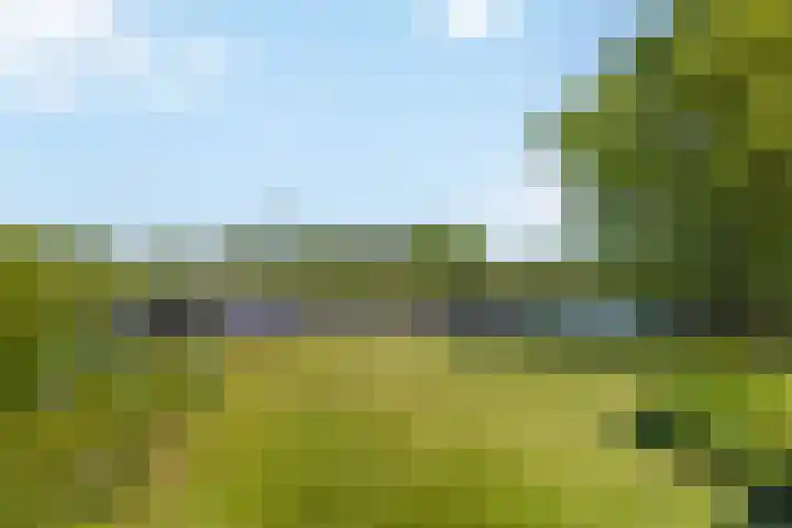 Bourboomweg 4 Burdaard thumbnail 34