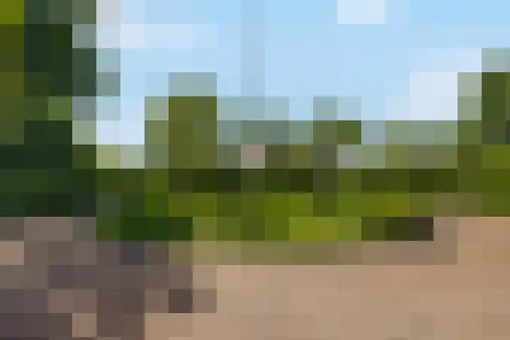 Bourboomweg 4 Burdaard thumbnail 4