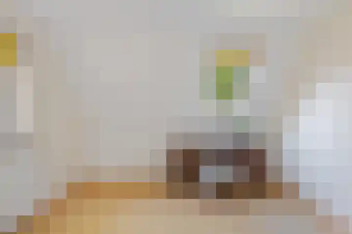 Bourboomweg 4 Burdaard thumbnail 42