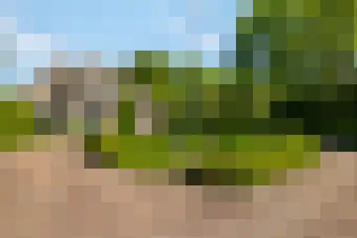 Bourboomweg 4 Burdaard thumbnail 5