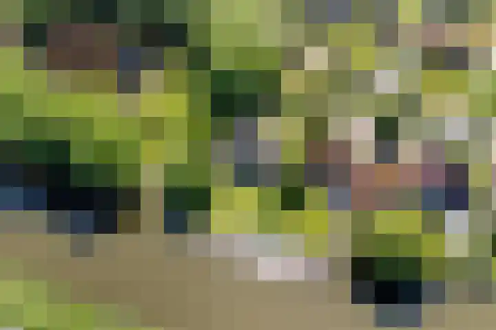 Bourboomweg 4 Burdaard thumbnail 57
