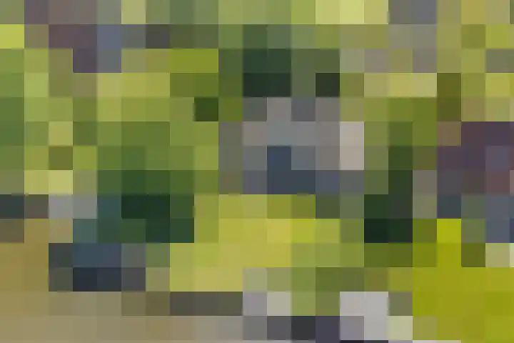 Bourboomweg 4 Burdaard thumbnail 61