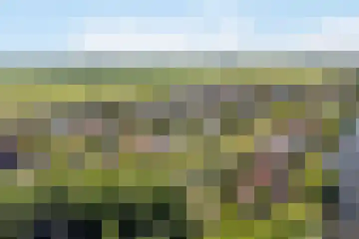 Bourboomweg 4 Burdaard thumbnail 66