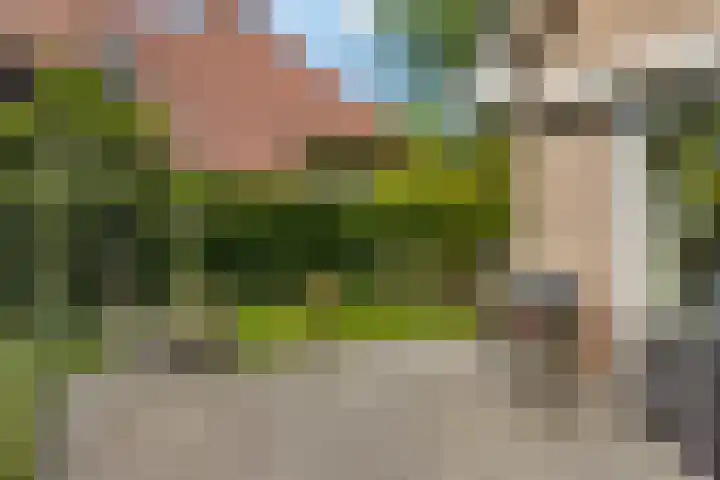 Bourboomweg 4 Burdaard thumbnail 7