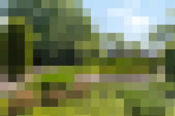 Bourboomweg 4 Burdaard thumbnail 8