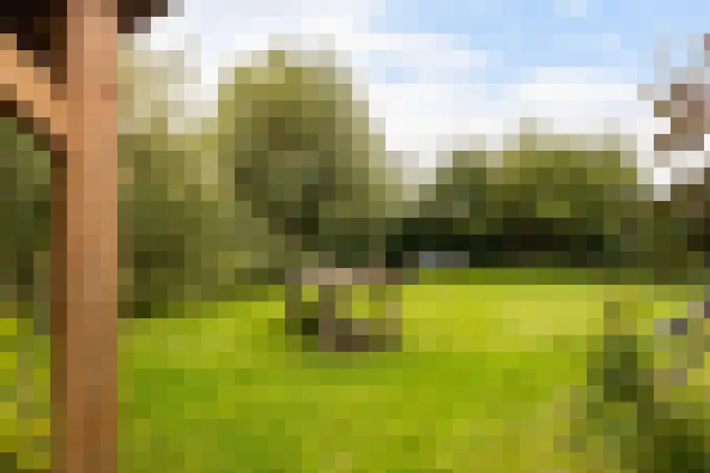 Bourboomweg 43 Burdaard thumbnail 41