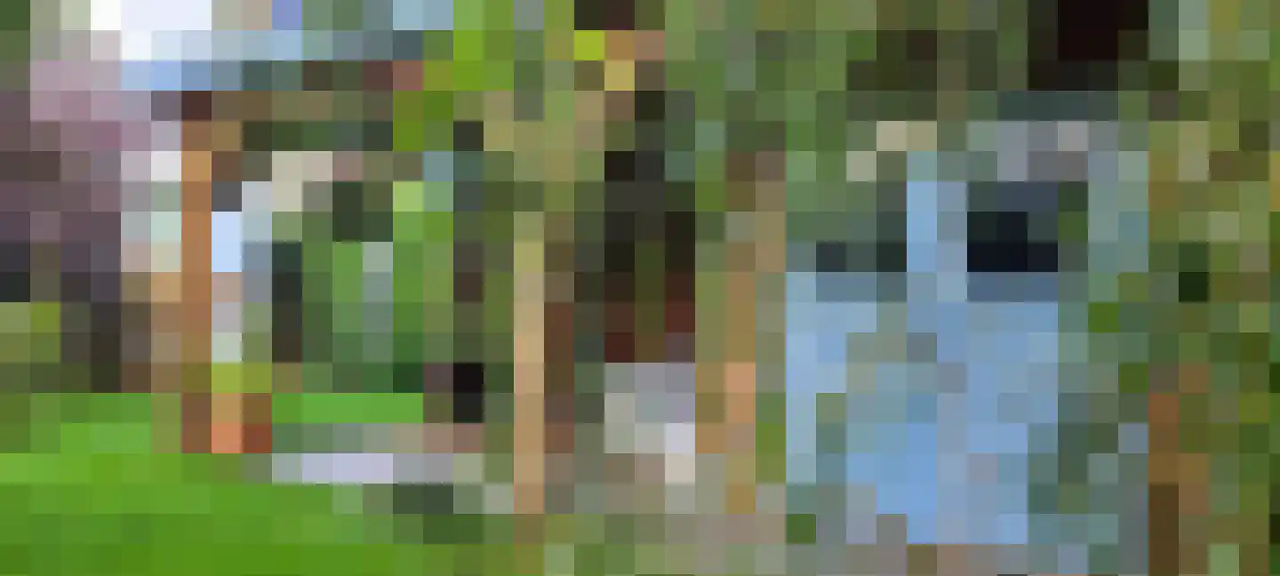 Bourboomweg 43 Burdaard thumbnail 44