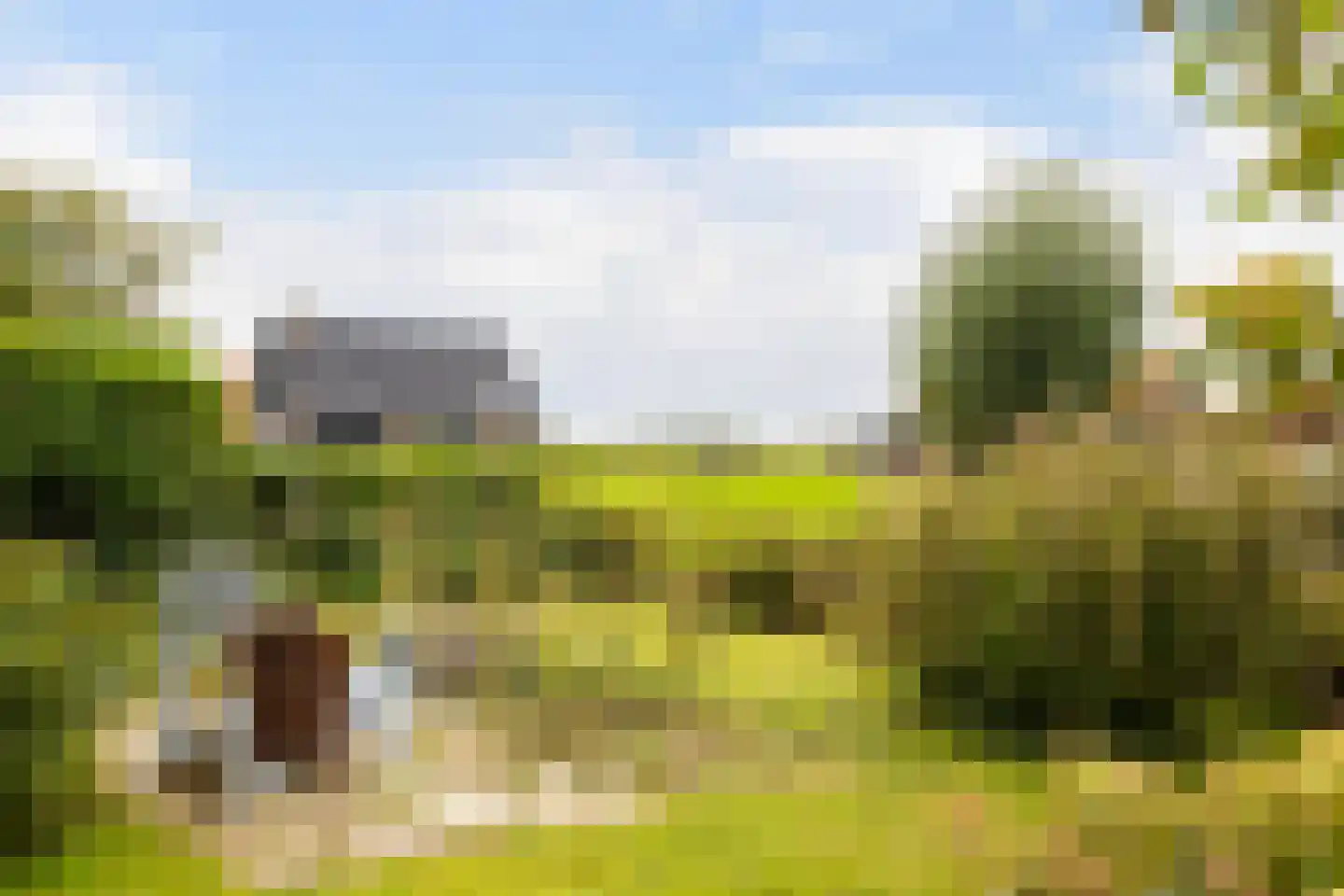 Bourboomweg 43 Burdaard thumbnail 45