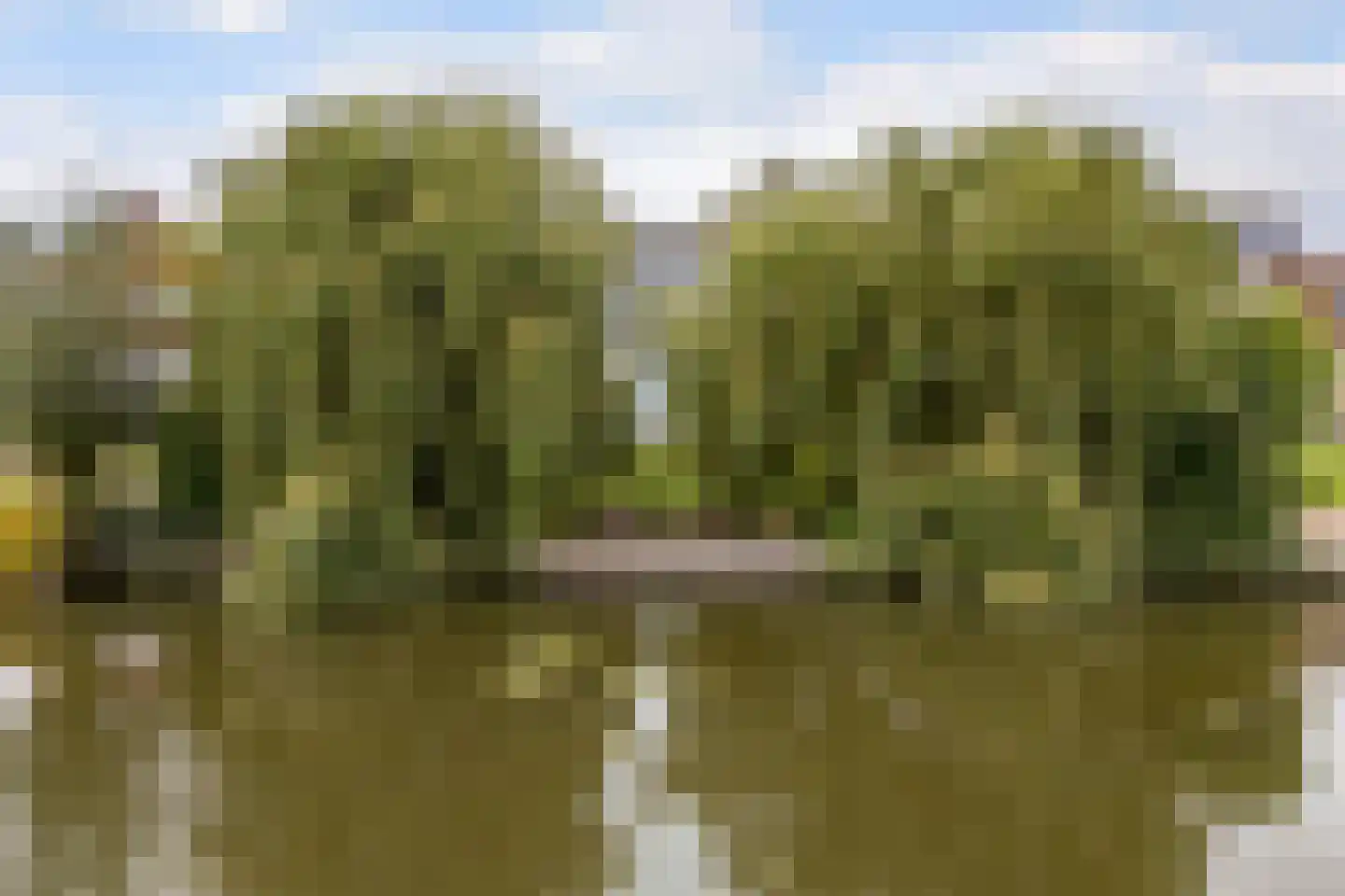 Bourboomweg 43 Burdaard thumbnail 46