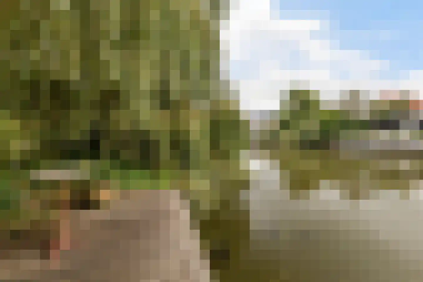 Bourboomweg 43 Burdaard thumbnail 47
