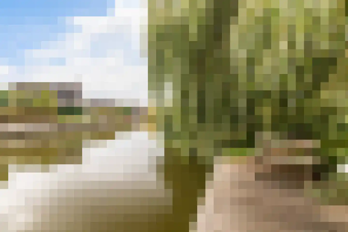 Bourboomweg 43 Burdaard thumbnail 48