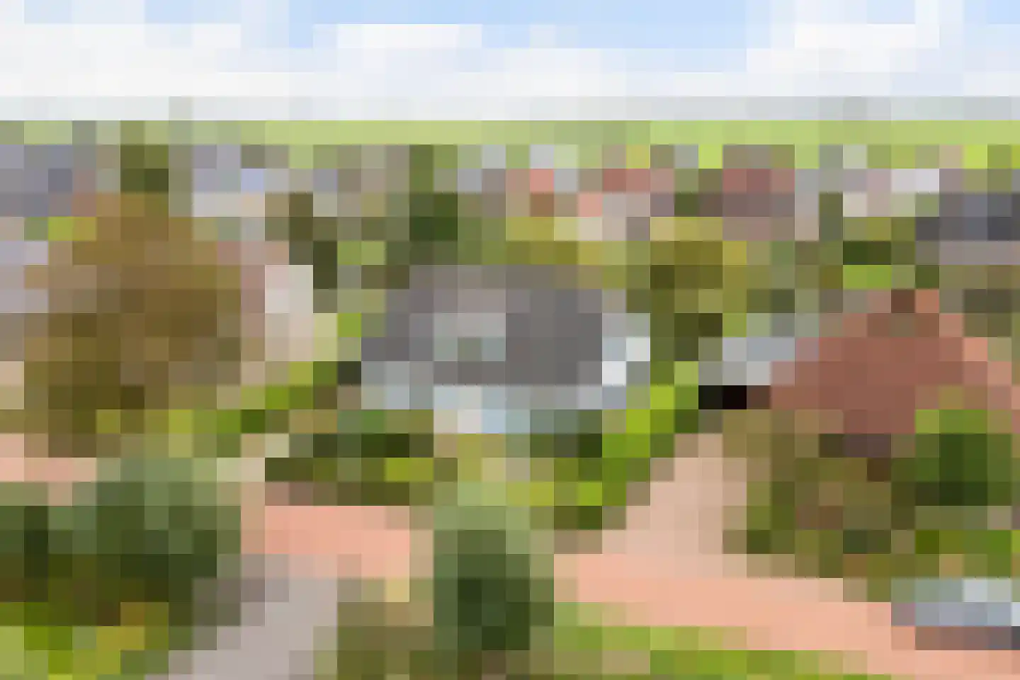 Bourboomweg 43 Burdaard thumbnail 5