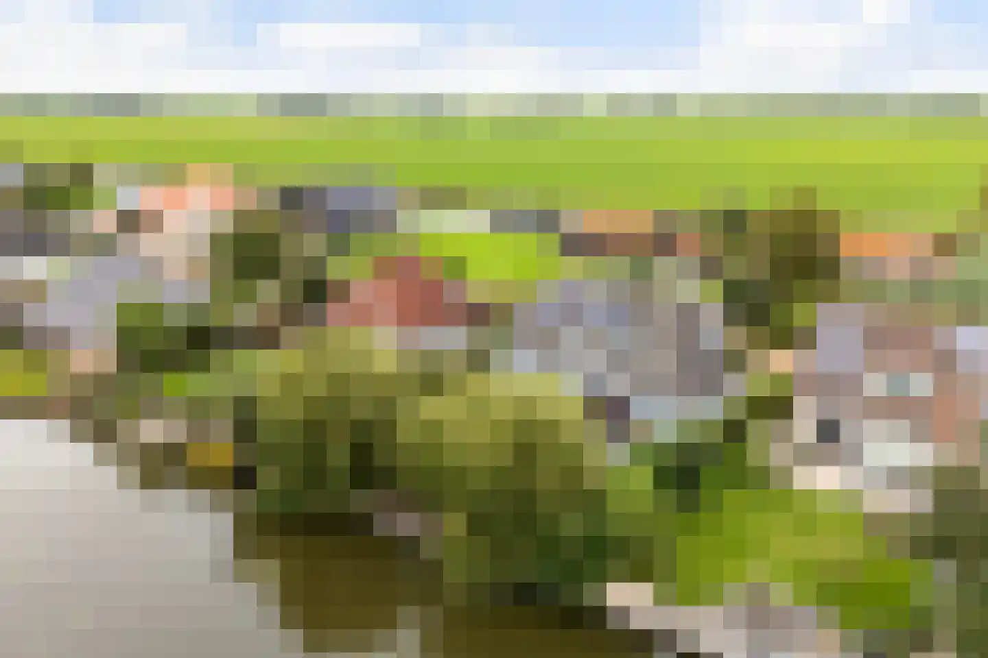 Bourboomweg 43 Burdaard thumbnail 65
