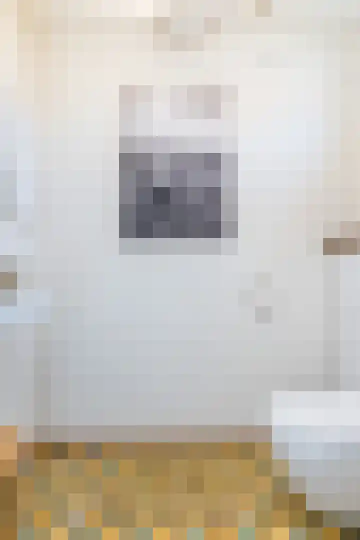 Bourgogne 8 Eijsden thumbnail 5