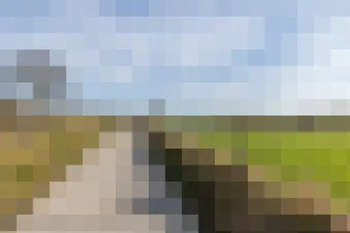 Bourgogne 8 Eijsden thumbnail 54