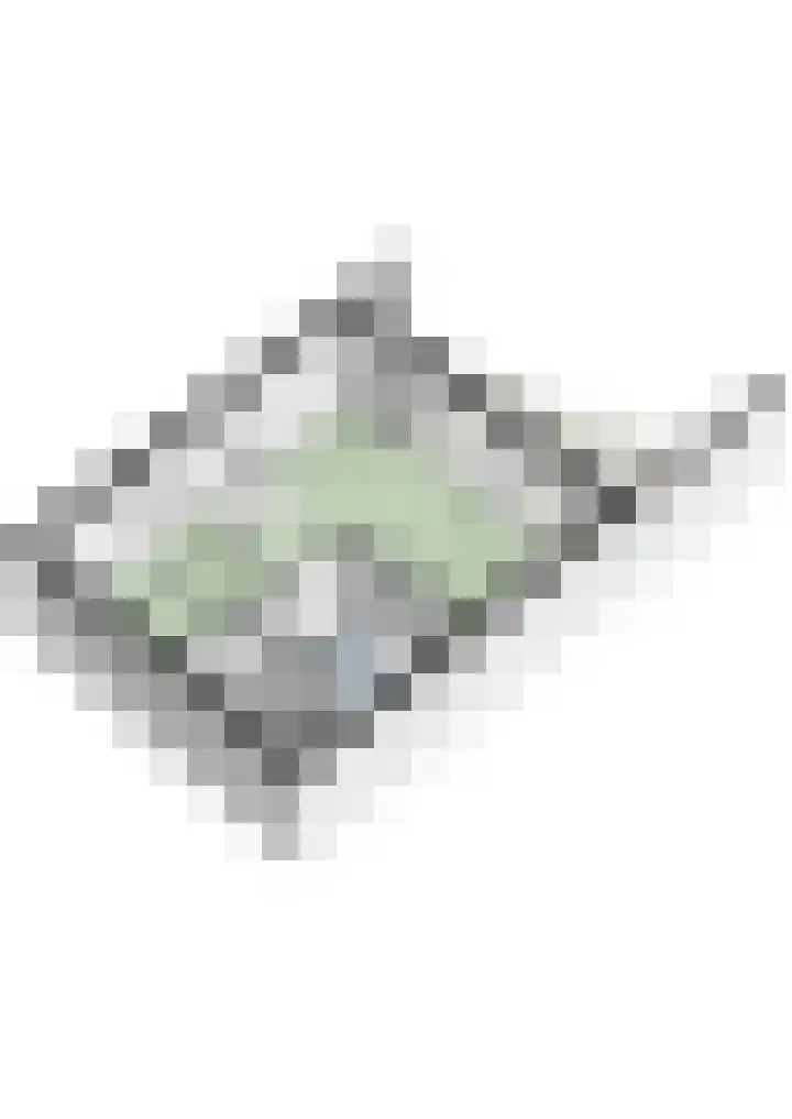 Bourgogne 8 Eijsden thumbnail 63