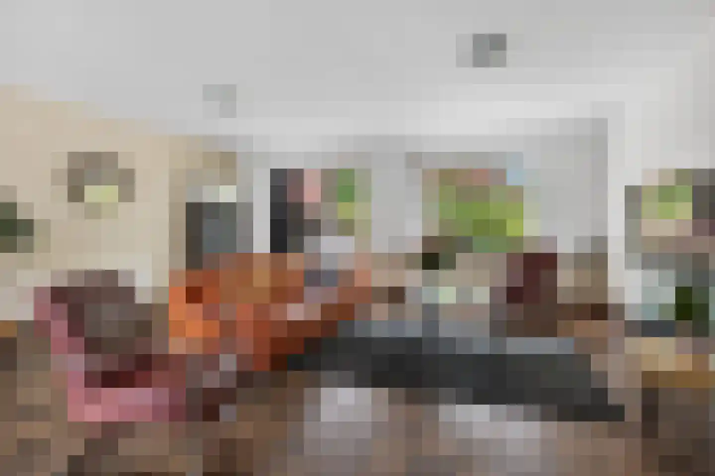 Bourgognelaan 21 Eindhoven thumbnail 10