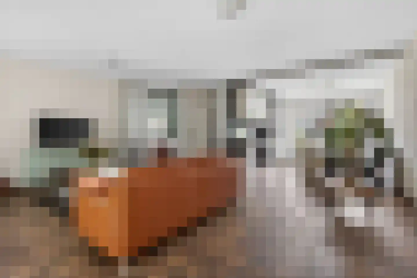 Bourgognelaan 21 Eindhoven thumbnail 11