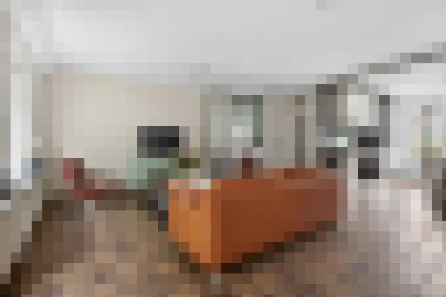 Bourgognelaan 21 Eindhoven thumbnail 12