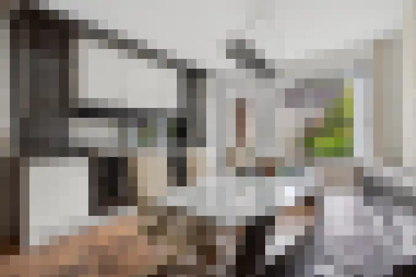 Bourgognelaan 21 Eindhoven thumbnail 16