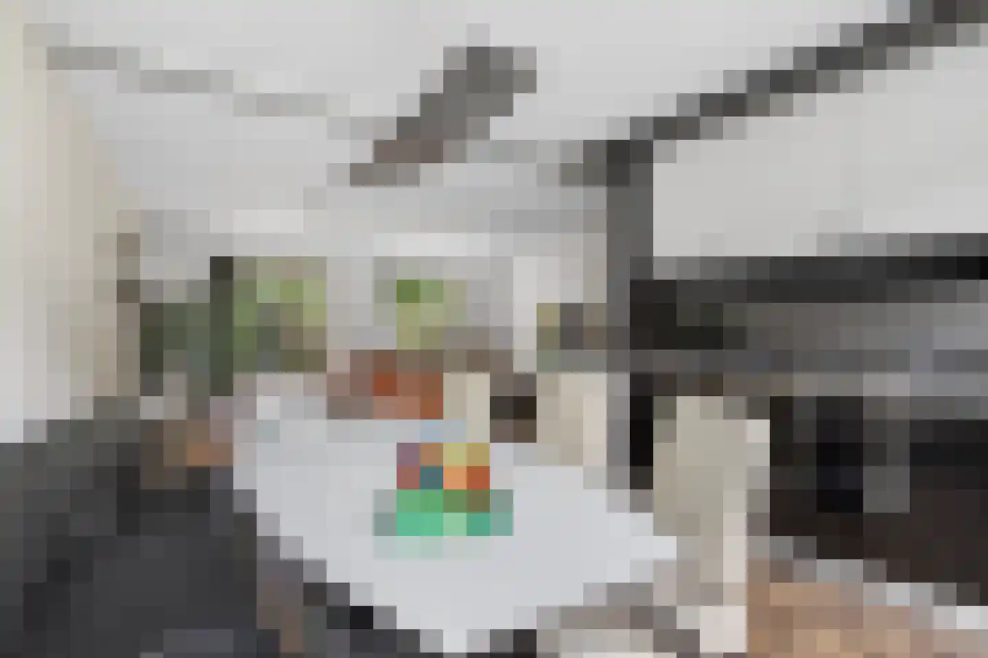 Bourgognelaan 21 Eindhoven thumbnail 17