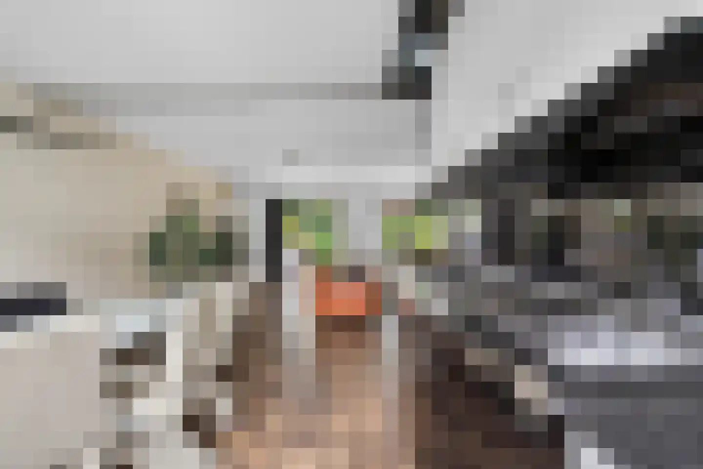 Bourgognelaan 21 Eindhoven thumbnail 18