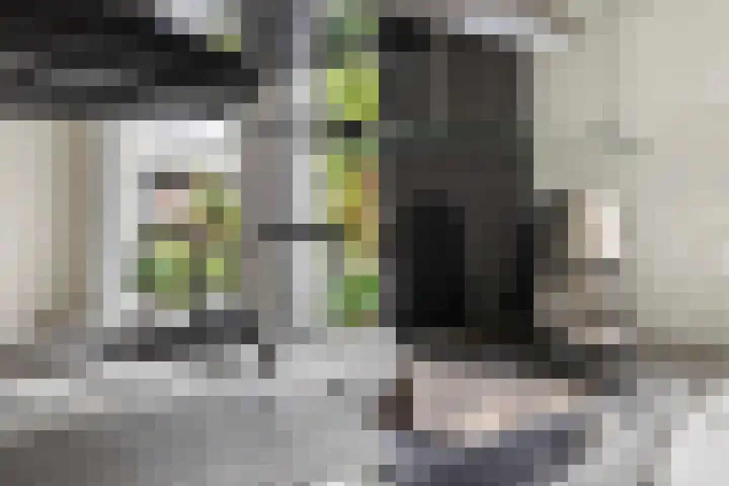 Bourgognelaan 21 Eindhoven thumbnail 20