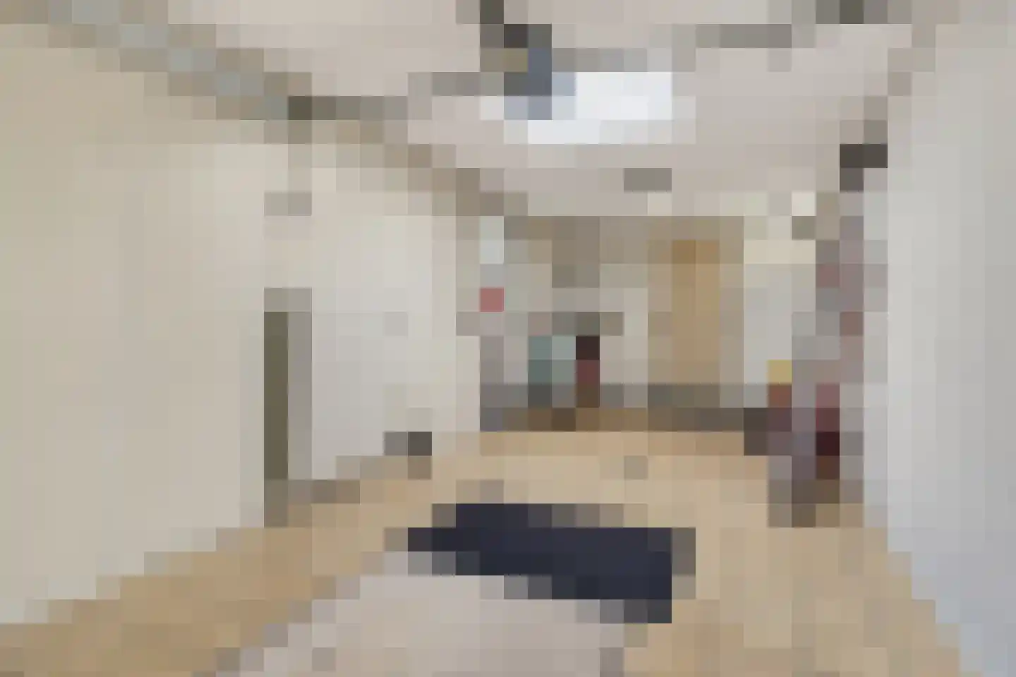 Bourgognelaan 21 Eindhoven thumbnail 41