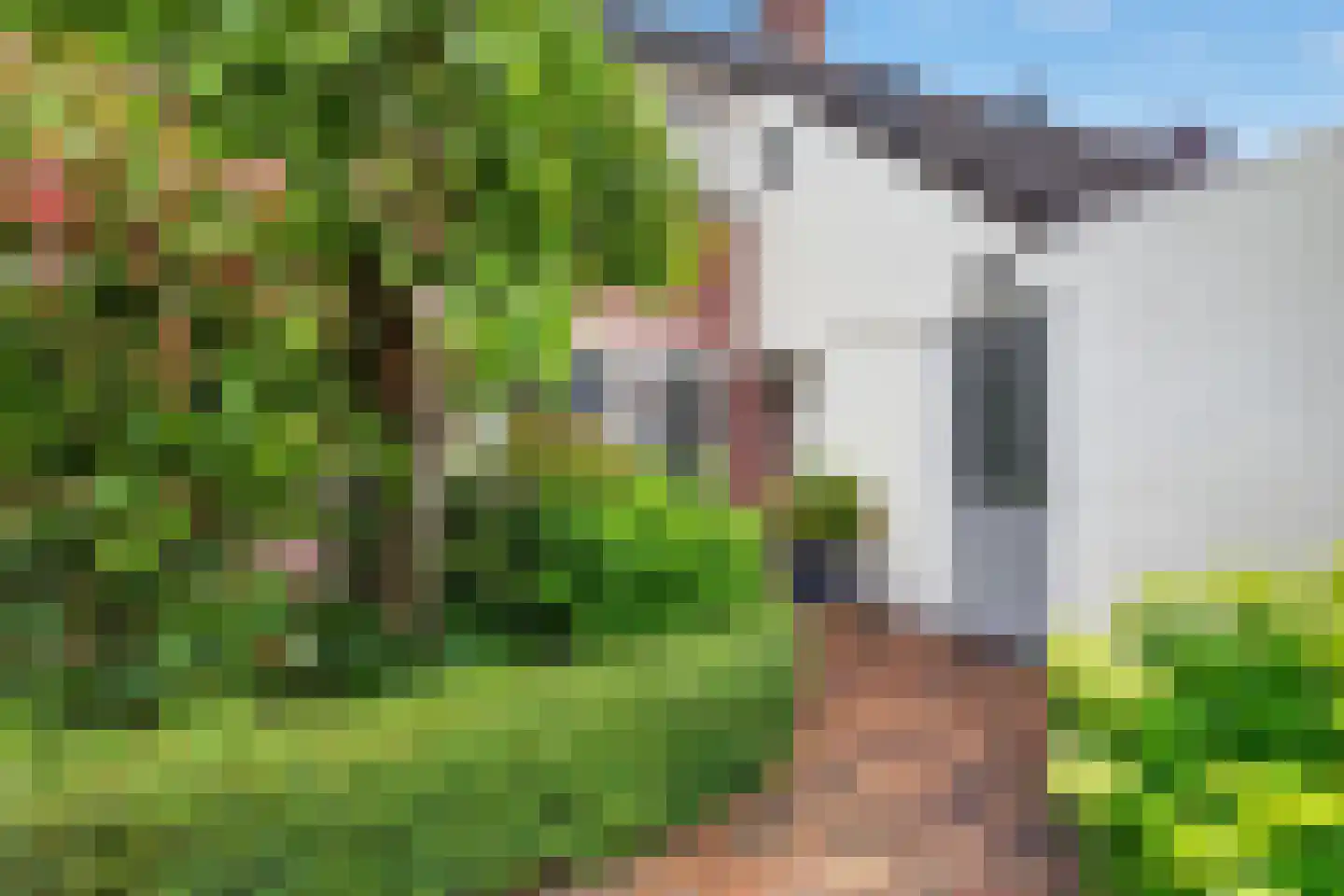 Bourgognelaan 21 Eindhoven thumbnail 52
