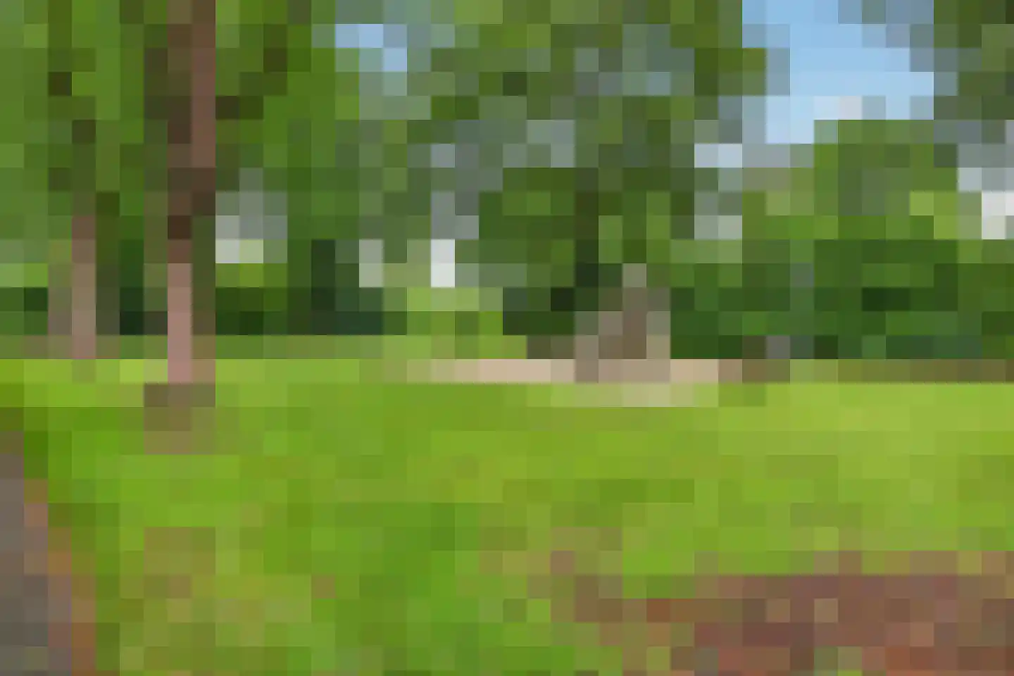 Bourgognelaan 21 Eindhoven thumbnail 54
