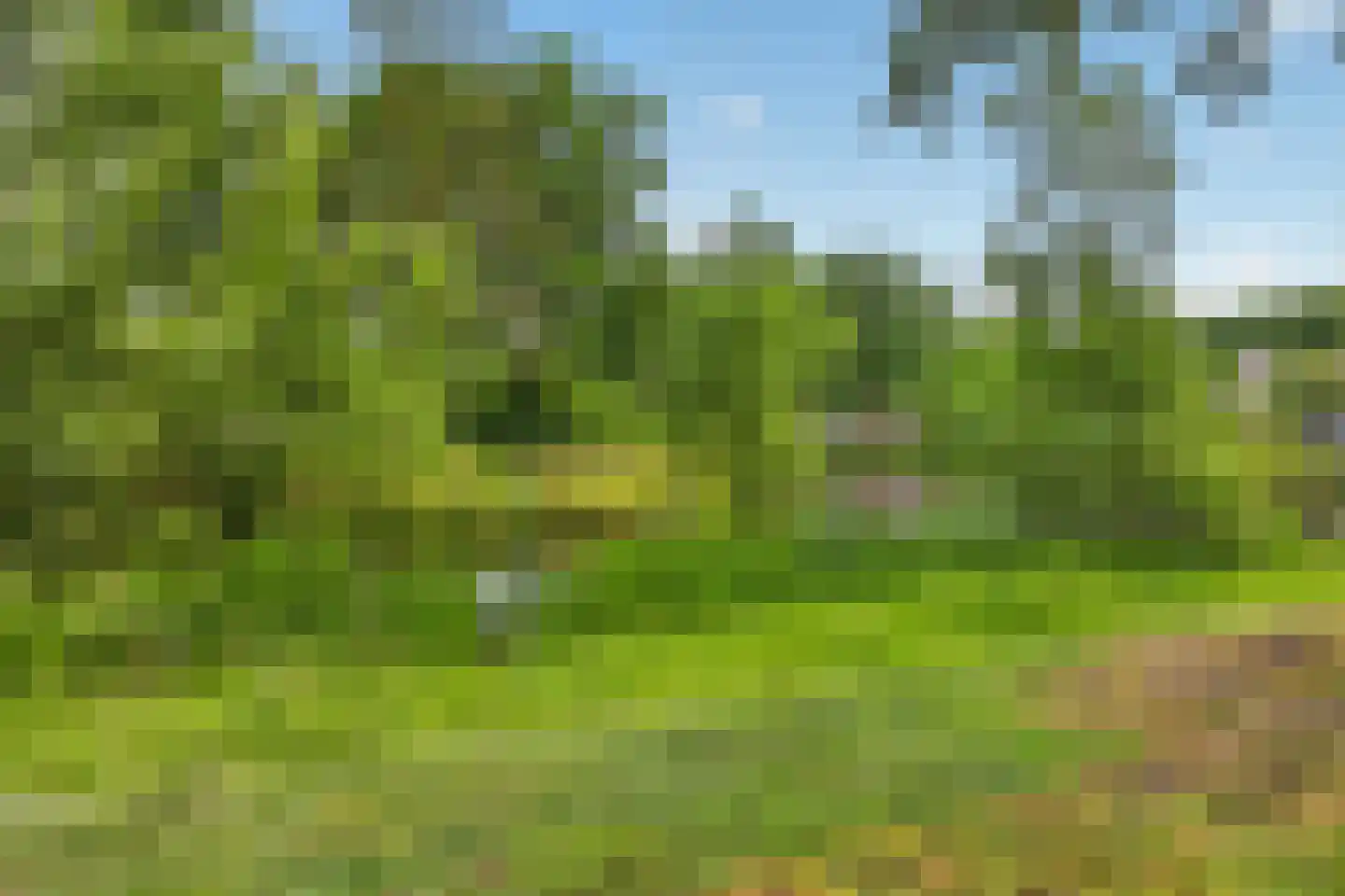 Bourgognelaan 21 Eindhoven thumbnail 55