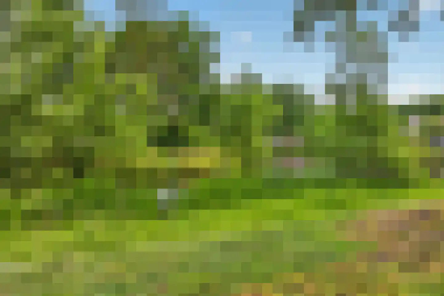 Bourgognelaan 21 Eindhoven thumbnail 56