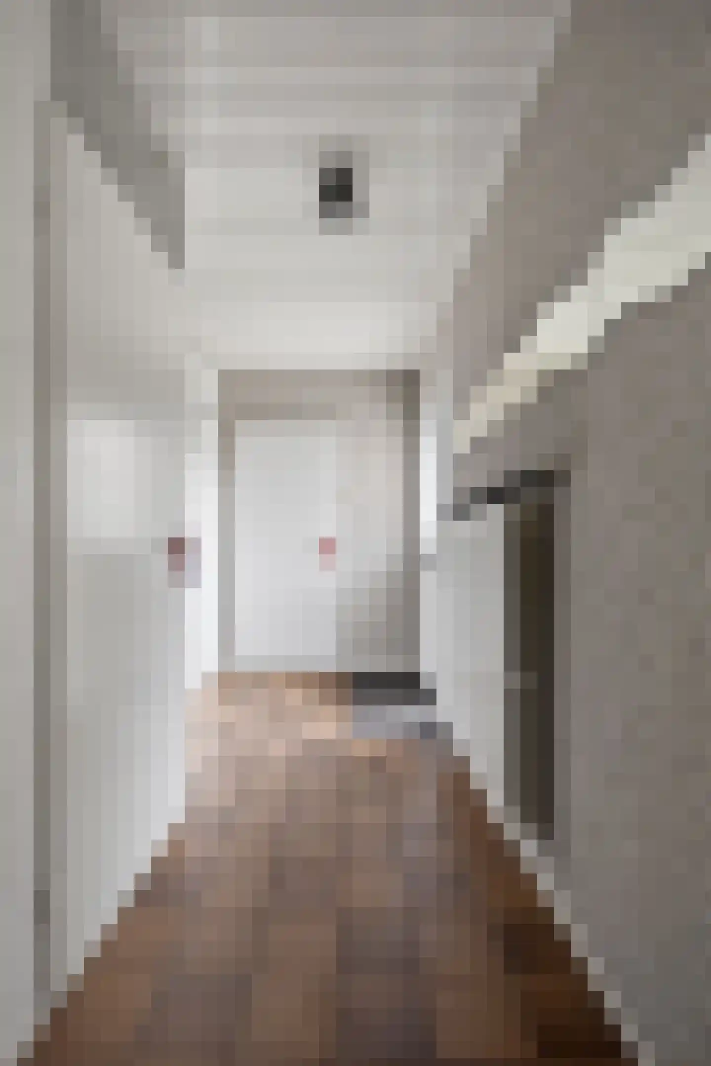 Bourgognelaan 21 Eindhoven thumbnail 6