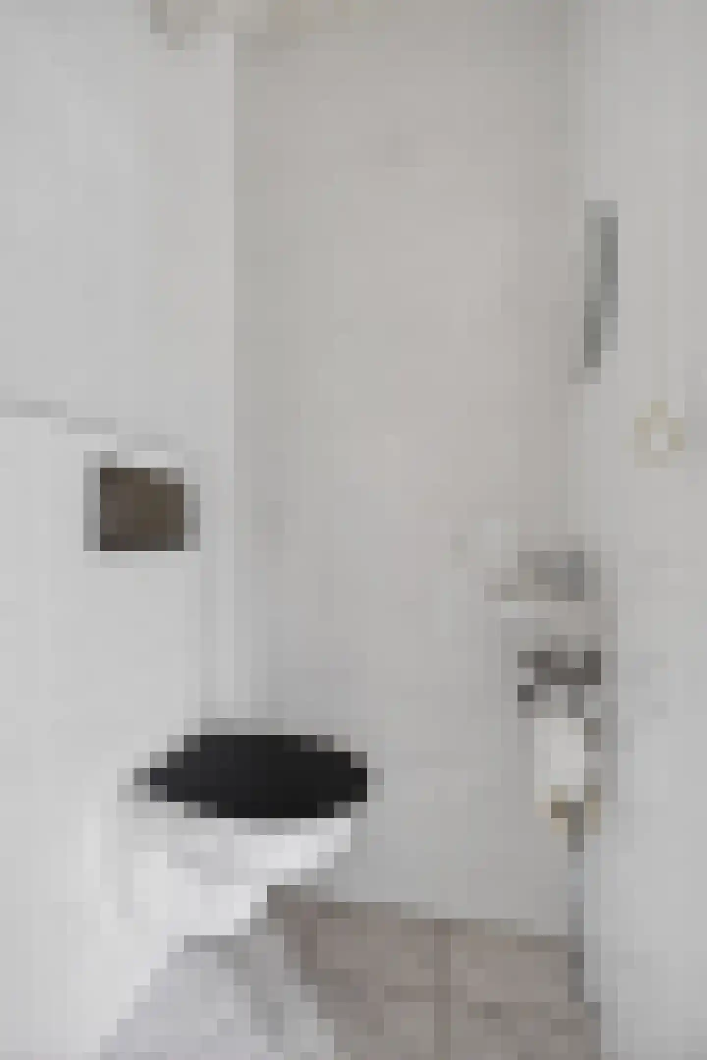 Bourgognelaan 21 Eindhoven thumbnail 7