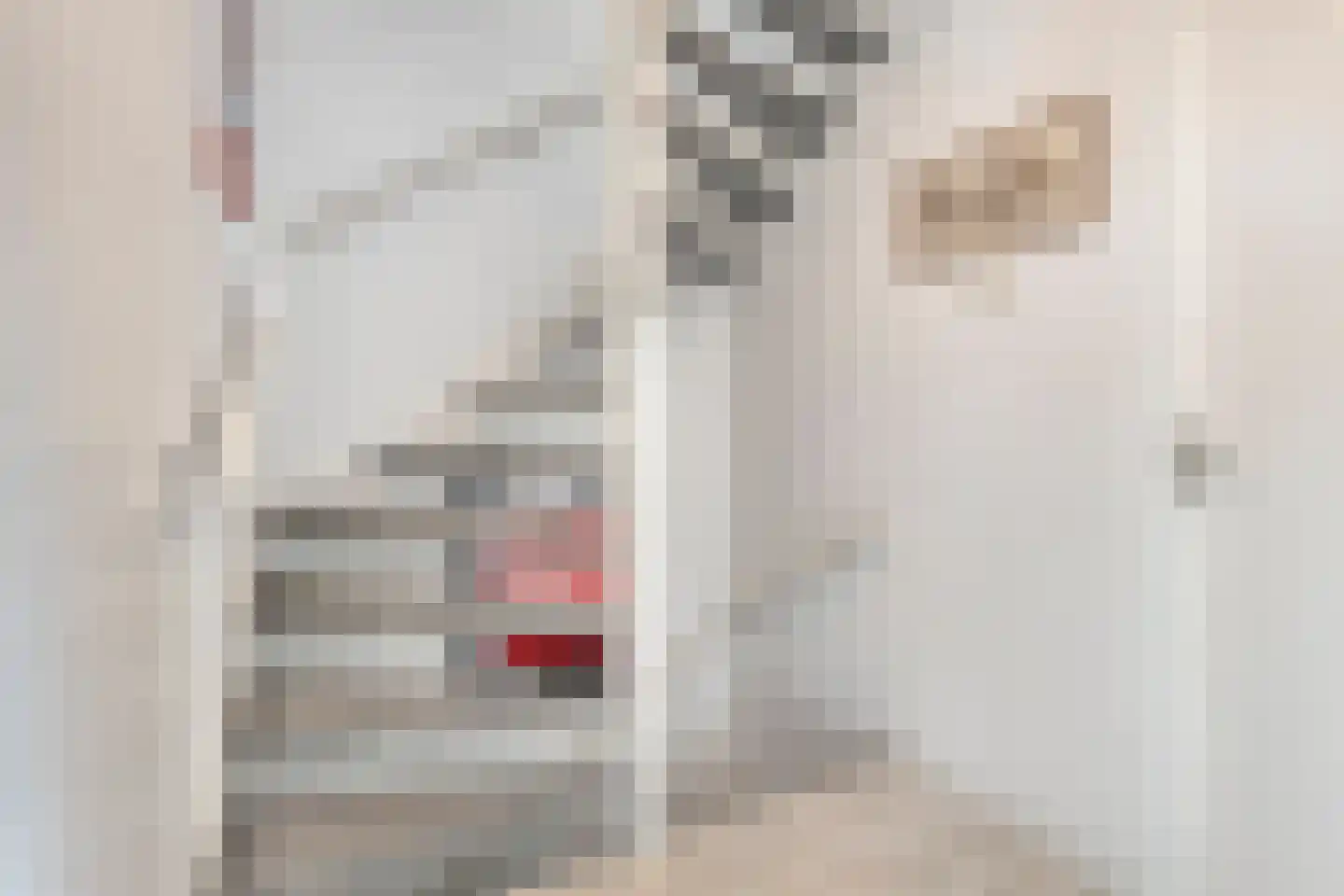 Bourgognelaan 26 Eindhoven thumbnail 18