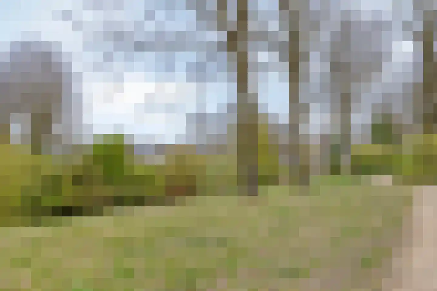 Bourgognelaan 26 Eindhoven thumbnail 32