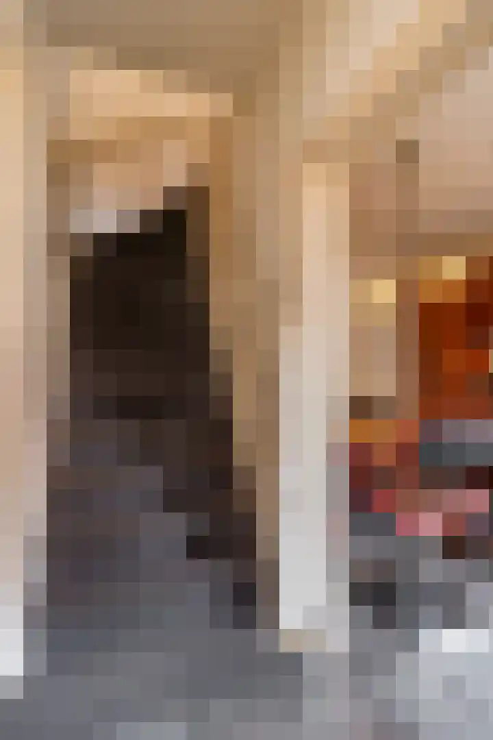 Bourgognestraat 20 Beek thumbnail 13