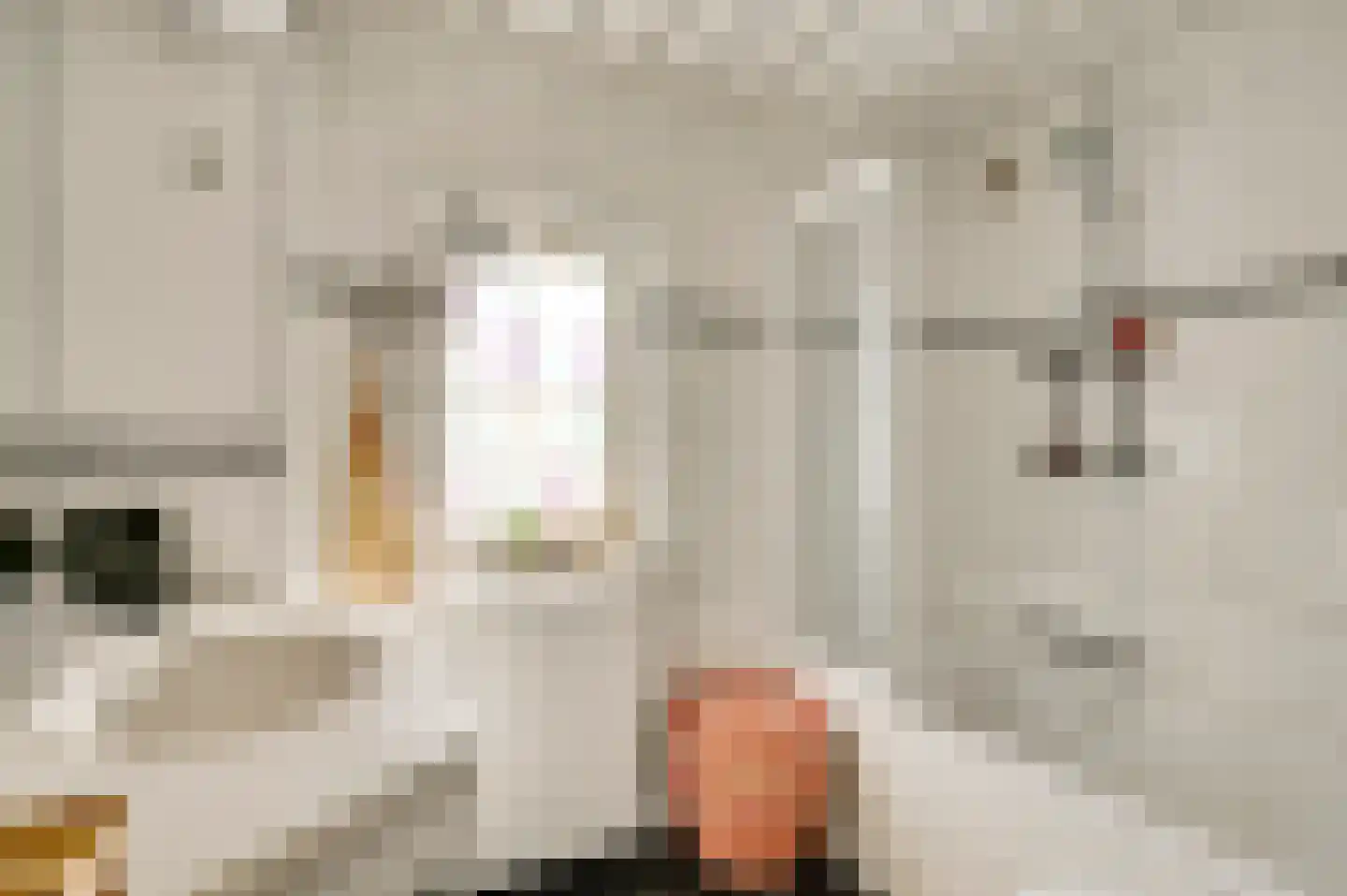 Bourgognestraat 34 Beek thumbnail 27