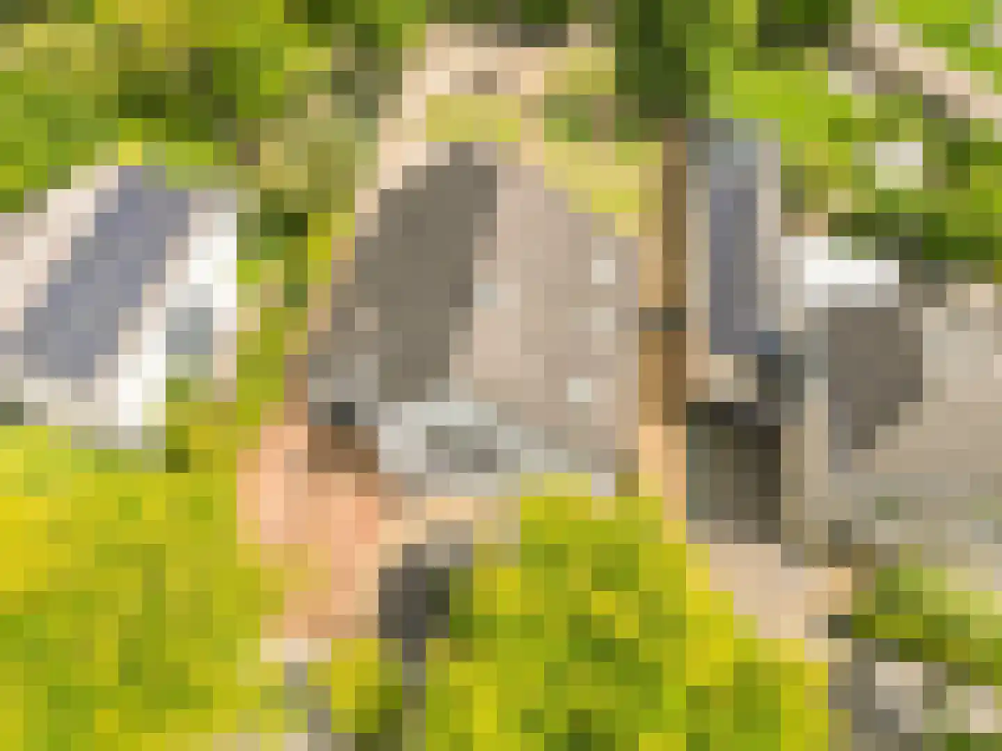 Bourgondië 32 Klimmen thumbnail 28