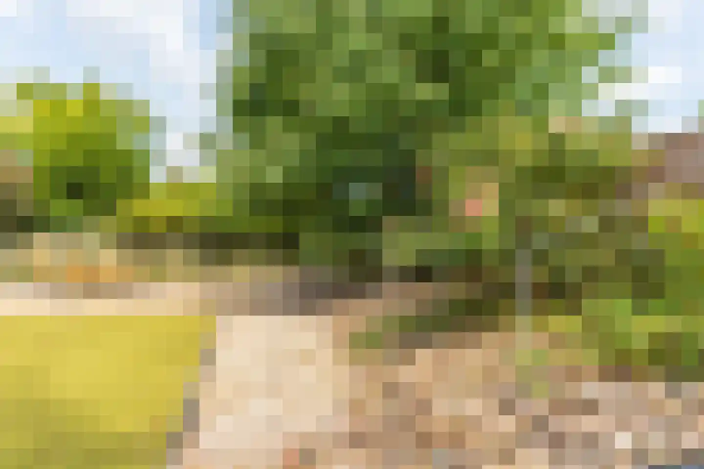 Bourgondië 32 Klimmen thumbnail 31