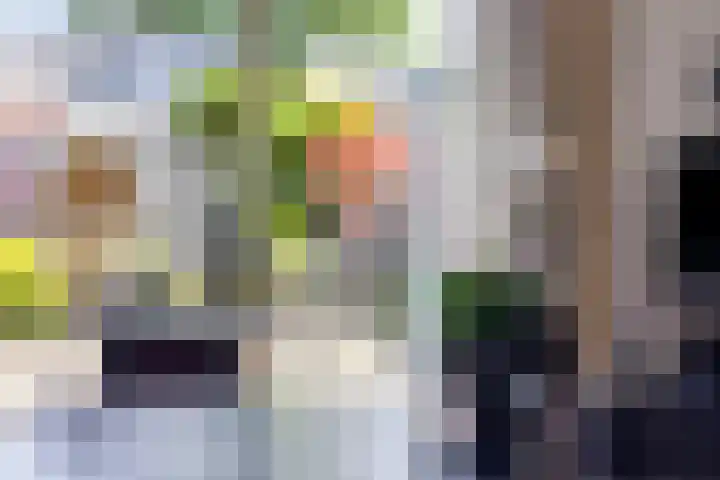 Bourgondiëlaan 6 Oldenzaal thumbnail 10
